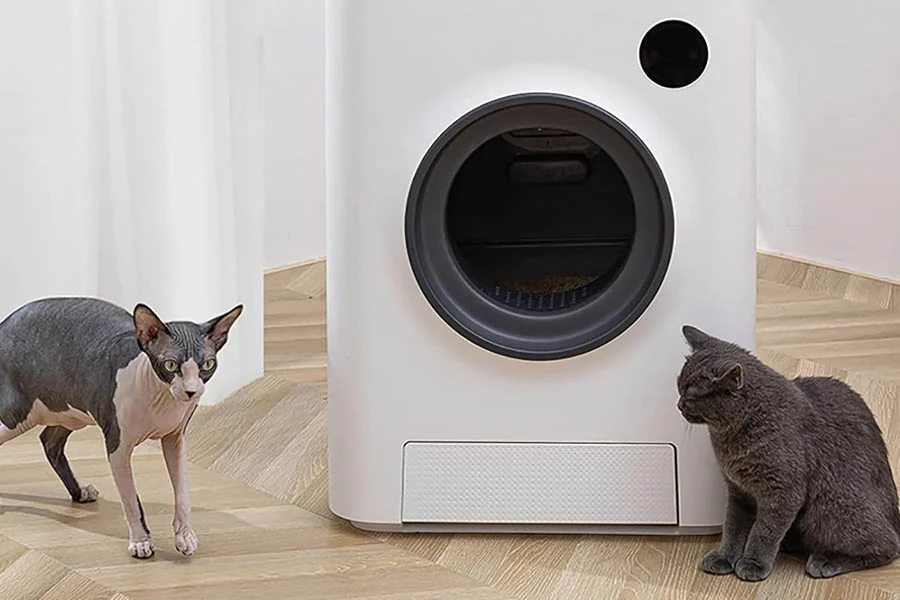 automatic kitten litter box
